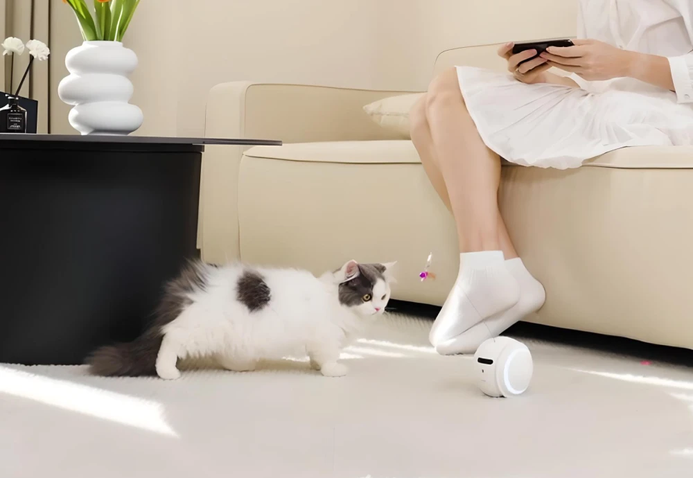 pet camera robot